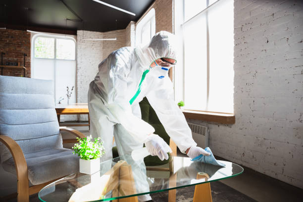 Best Mold Remediation for Healthcare Facilities in Taft, TX